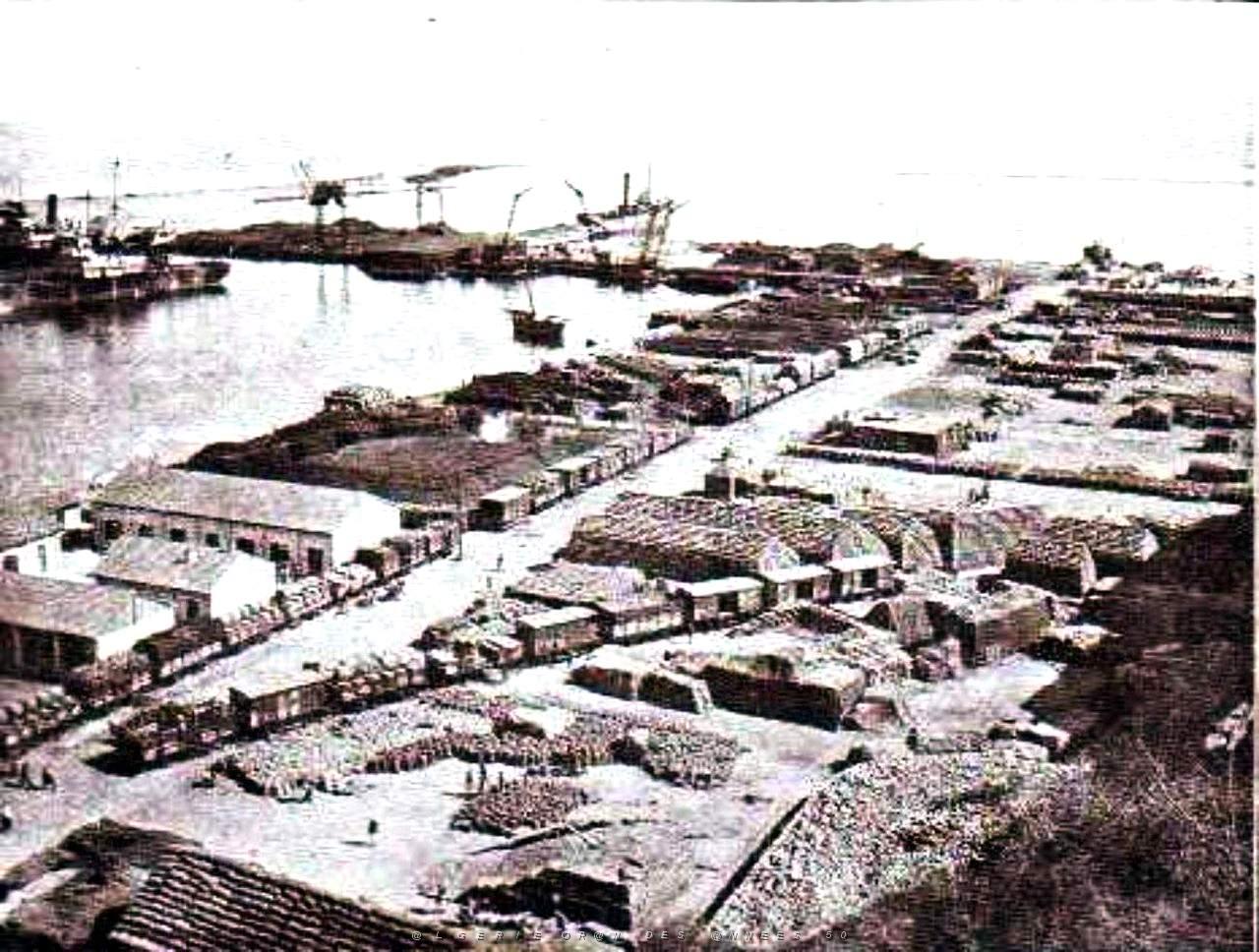 Oran- 043- travail sur les quais.jpg